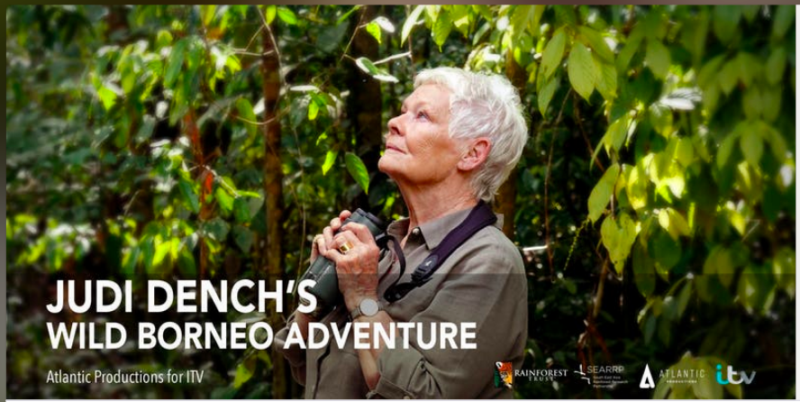 Judi-Denchs-Wild-Borneo-Adventure